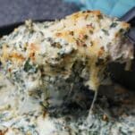 cheesy spinach chicken bake