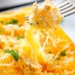 cajun shrimp and spaghetti squash