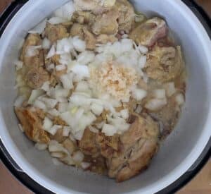 chicken onion and garlic in instant pot