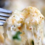 cheesy crab bake