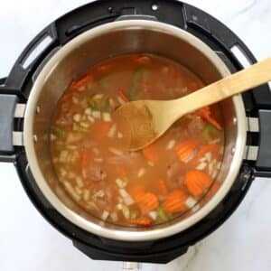 chicken stock for turkey soup ingredients in instant pot