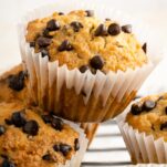 chocolate chip muffins